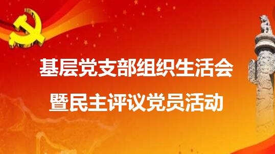 上藥常藥黨委各支部召開組織生活會并開展黨員民主評議活動(dòng)